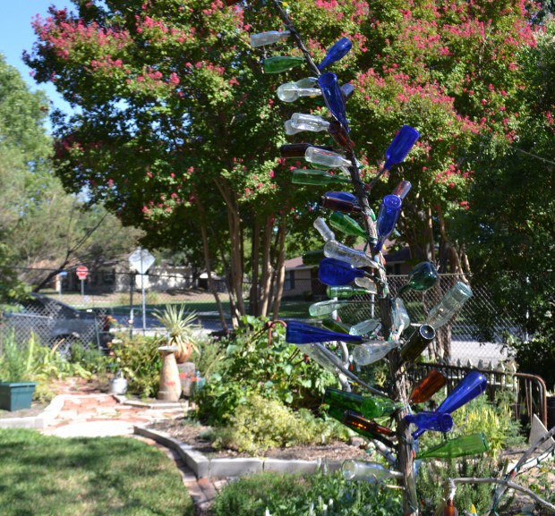 bottle tree