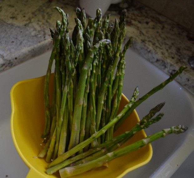 asparagus rollups 4