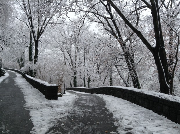 IMG_0361Cloisters