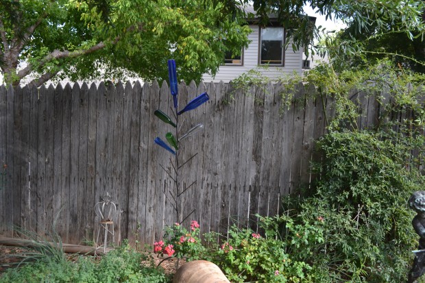 bottle tree