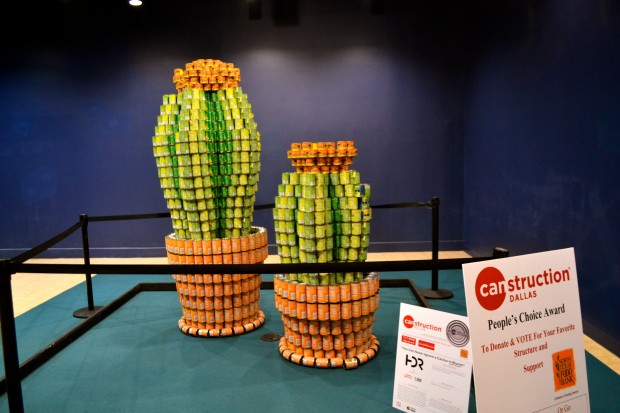 Canstruction cactus