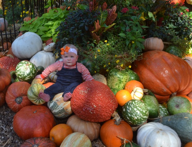 Arboretum Pretty Baby