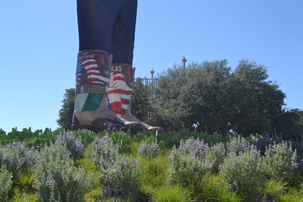 State Fair