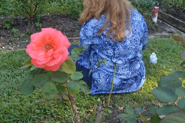 Tyler Rose Garden